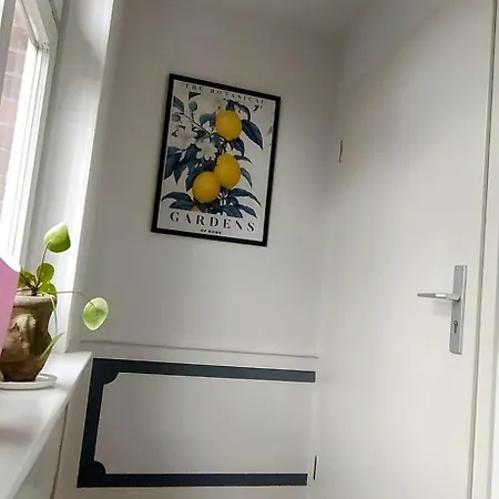 Steinaublick - Schnell In Hamburg-luebeck-lueneburg-schwerin-ostsee